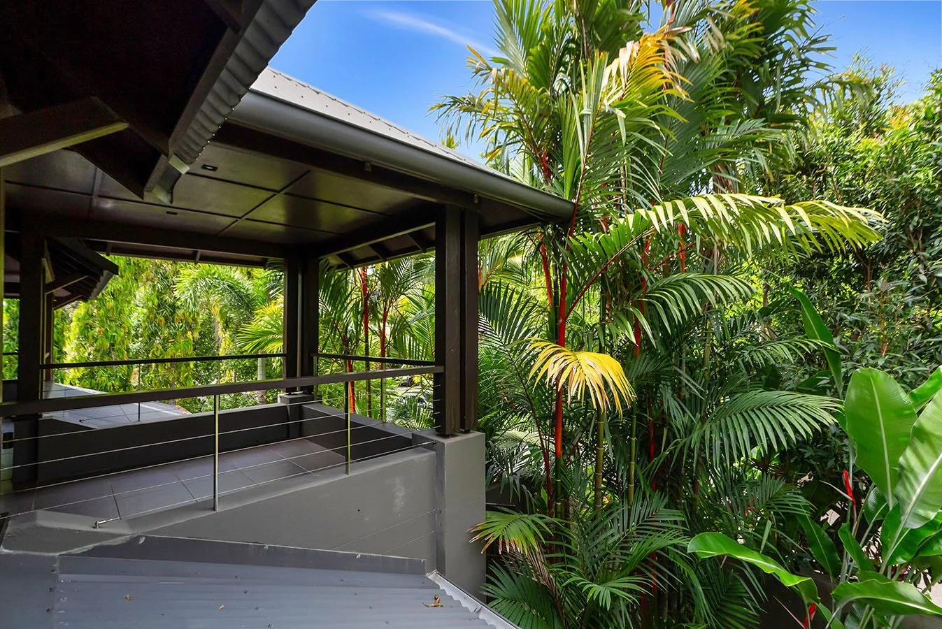 A quiet balcony in the treetops