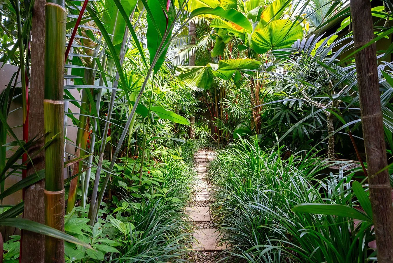 Tropical planting in the Villa Omaroo garden