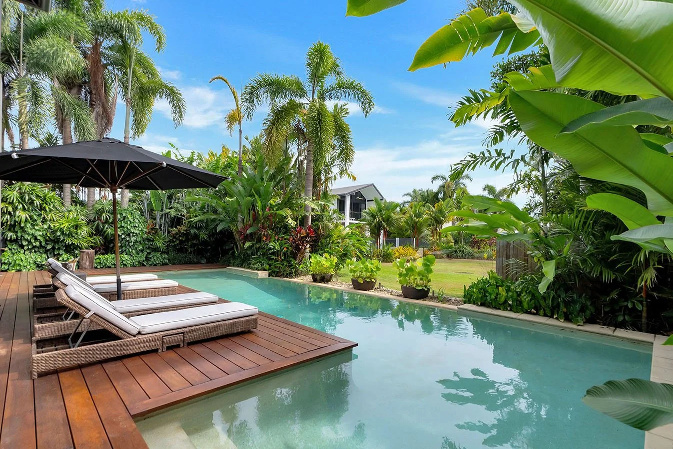 The pool framed by tropical greenery
